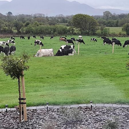 Inch View Lodge Milltown  Luaran gambar