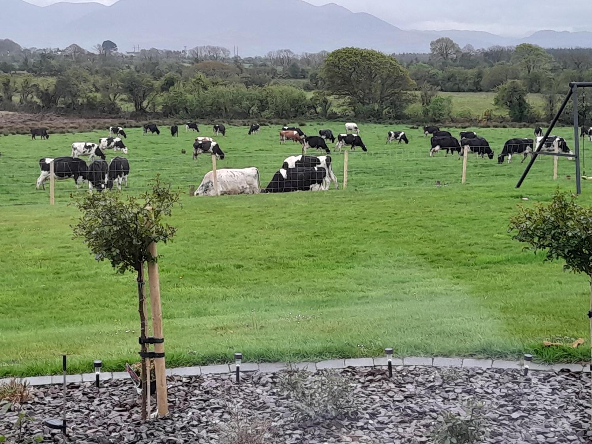 Inch View Lodge Milltown  Luaran gambar