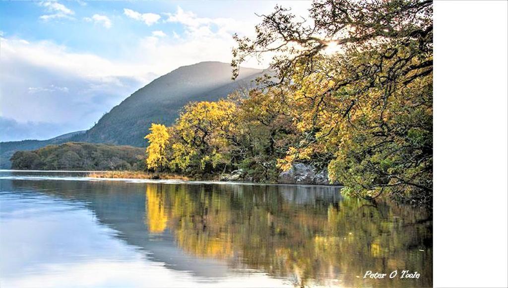 Inch View Lodge Milltown  Luaran gambar